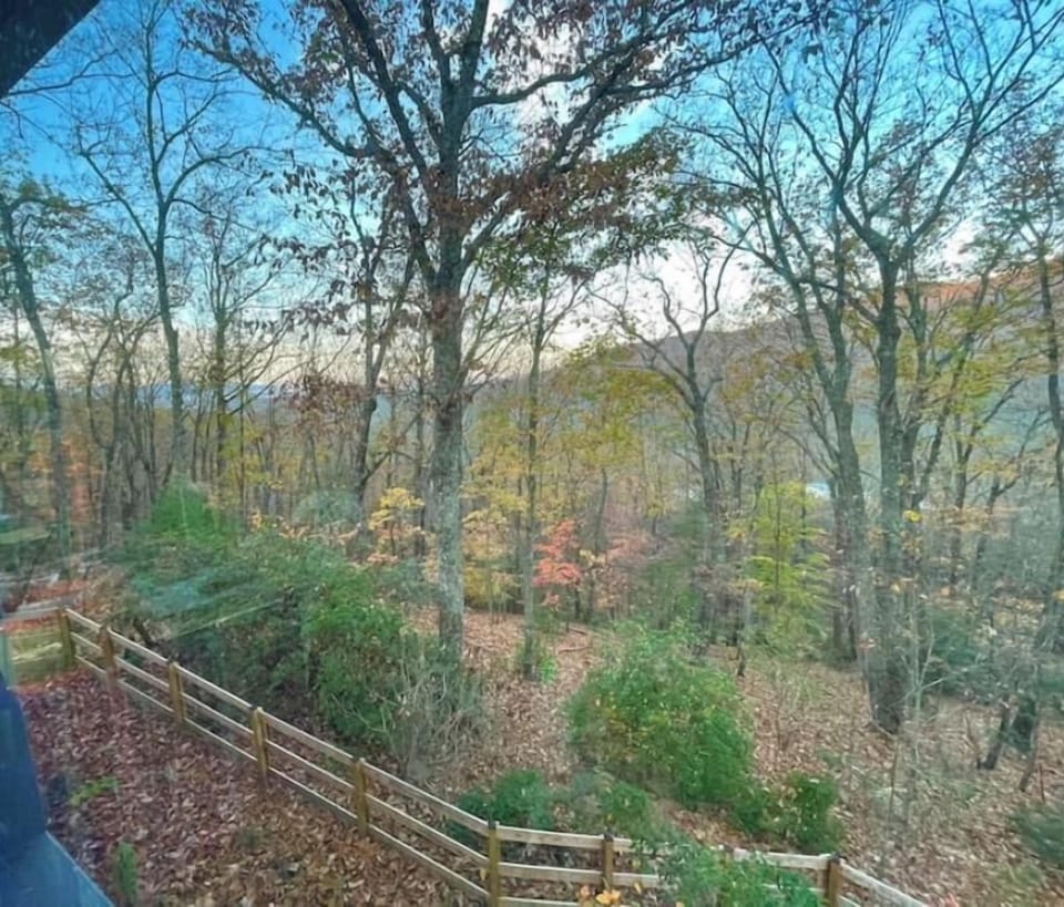 View from property