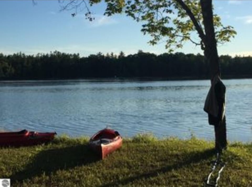 View from the backyard