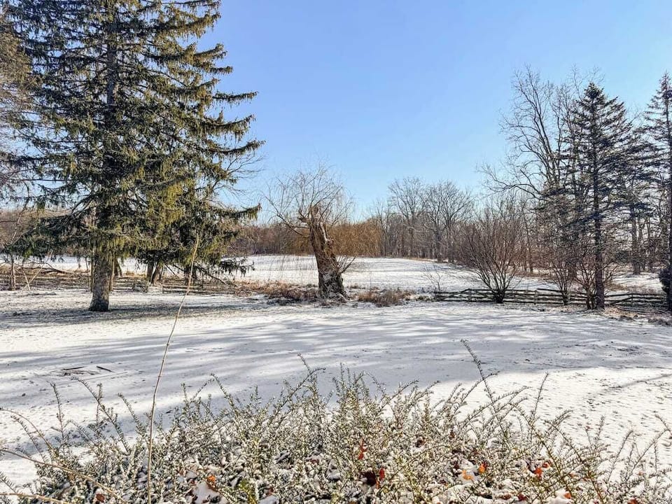 Snowy treetops frame serene valley views from the cozy farmhouse retreat.