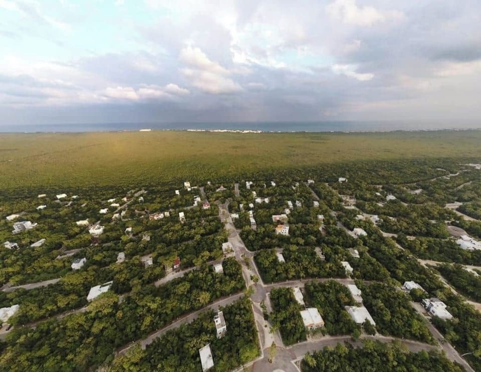 Aerial view