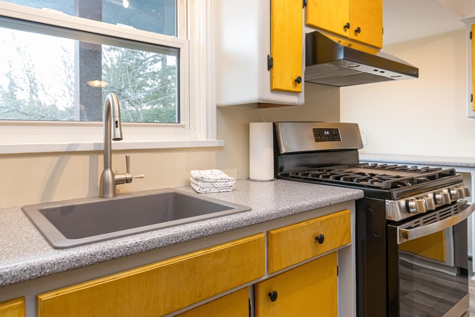 Large sink and gas stove