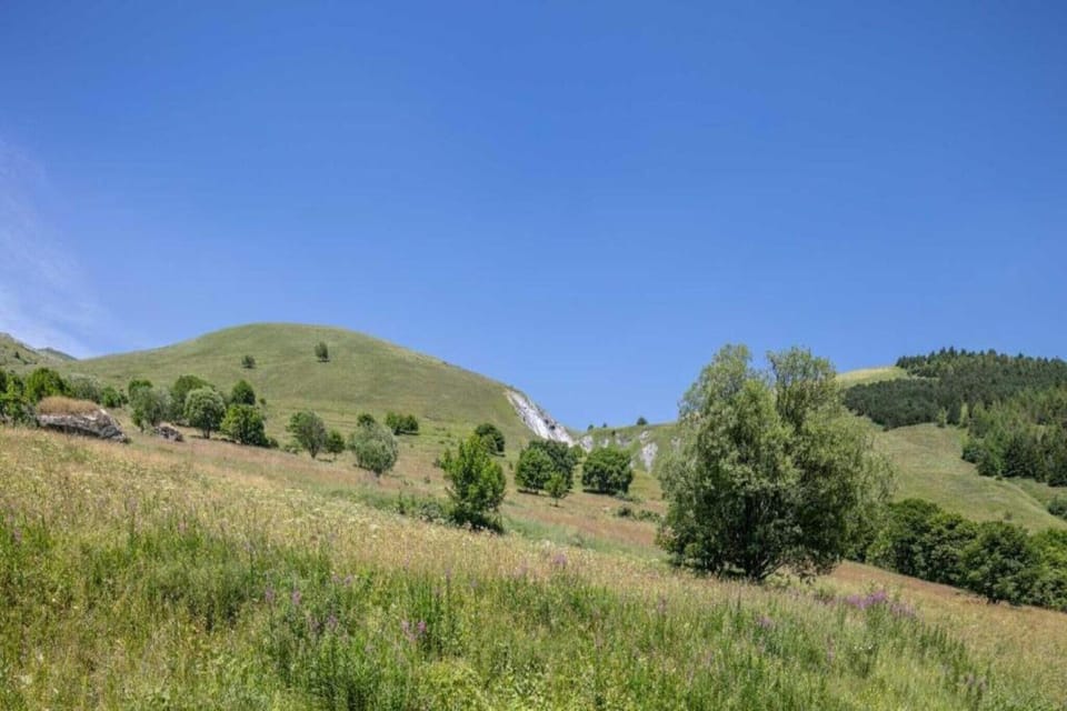 Surroundings [summer] (1-5 km)