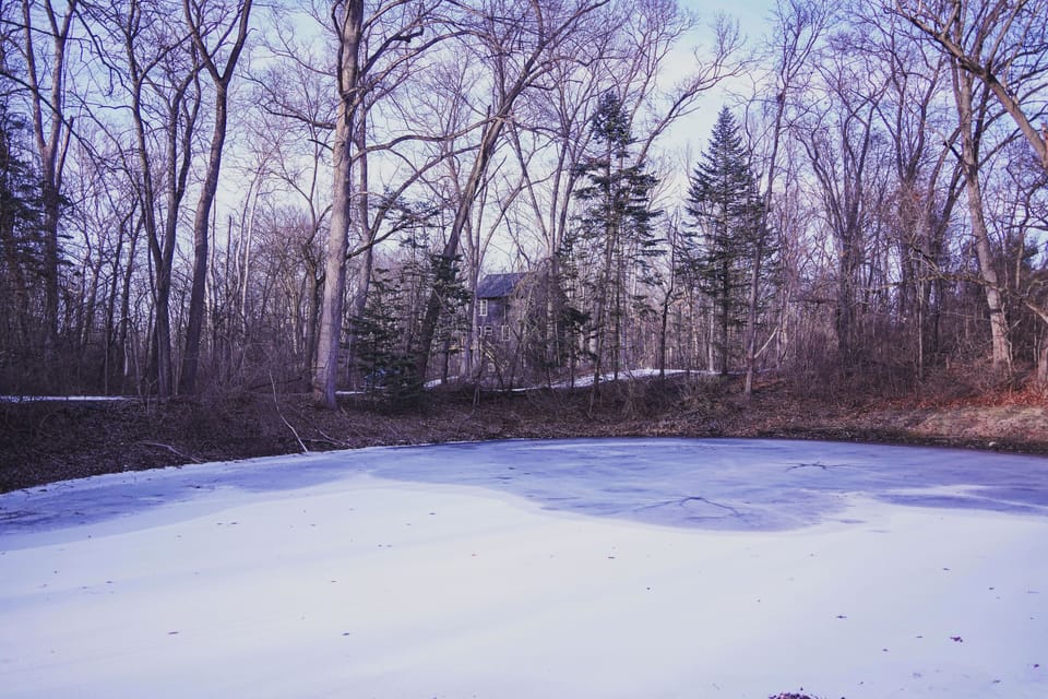 The beautiful and serene nature landscape surrounding you