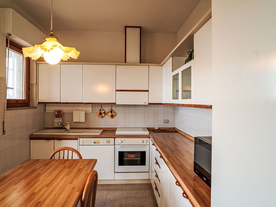 Wood Stain, Houseplant