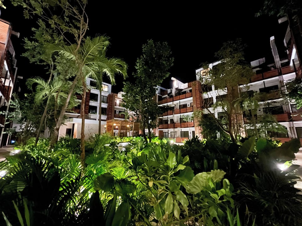 Illuminated Jungle fauna at night