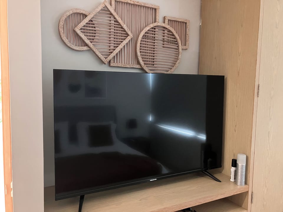 Television