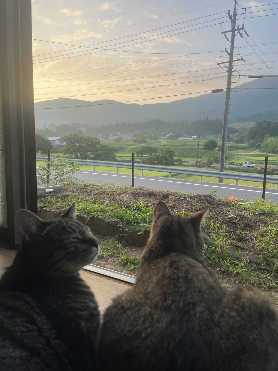 View from property
