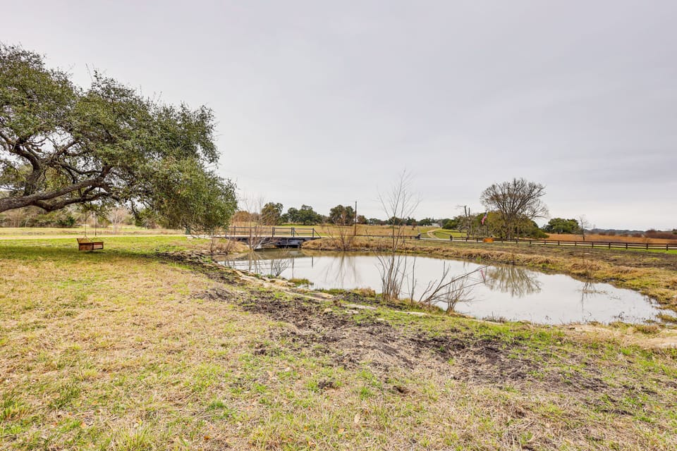 Pond On-Site