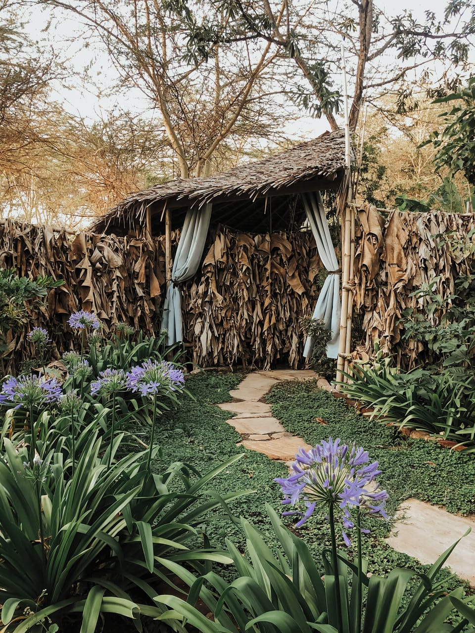 Entrance to your Jungle Bathroom