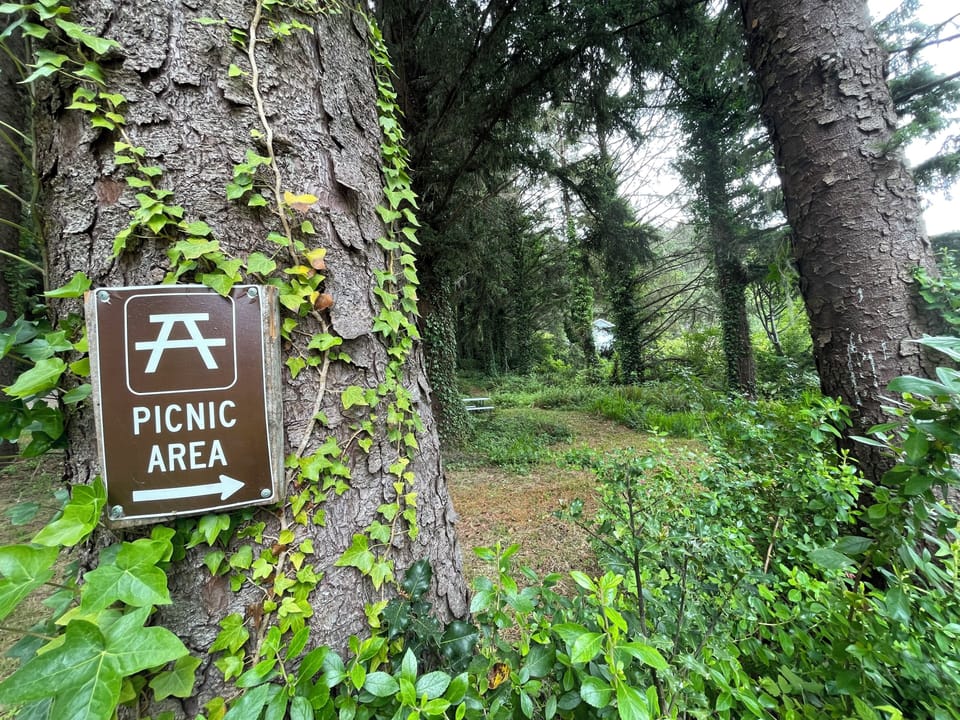 Picnic area on the hiking trail