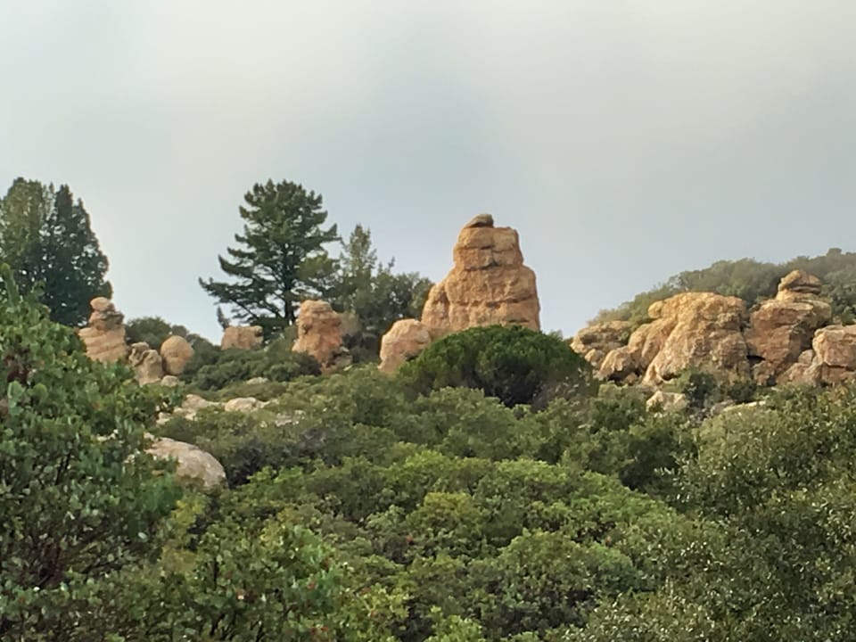 Los Padres National Forest ~ Trail Hike