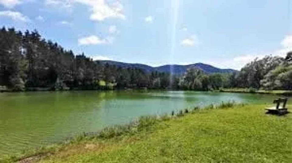 Lake view