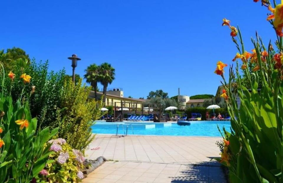 Autumn, Pool, Spring, Summer