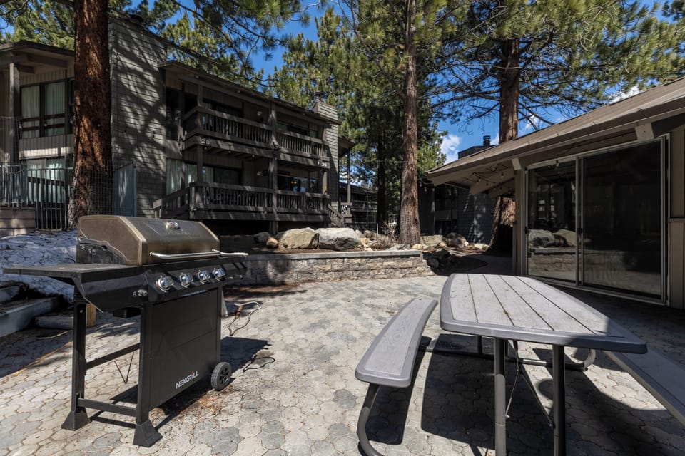 Gather with friends and family in the inviting common BBQ area, where a modern grill, spacious picnic table, and the shade of towering pines create the perfect setting for outdoor dining and relaxation.