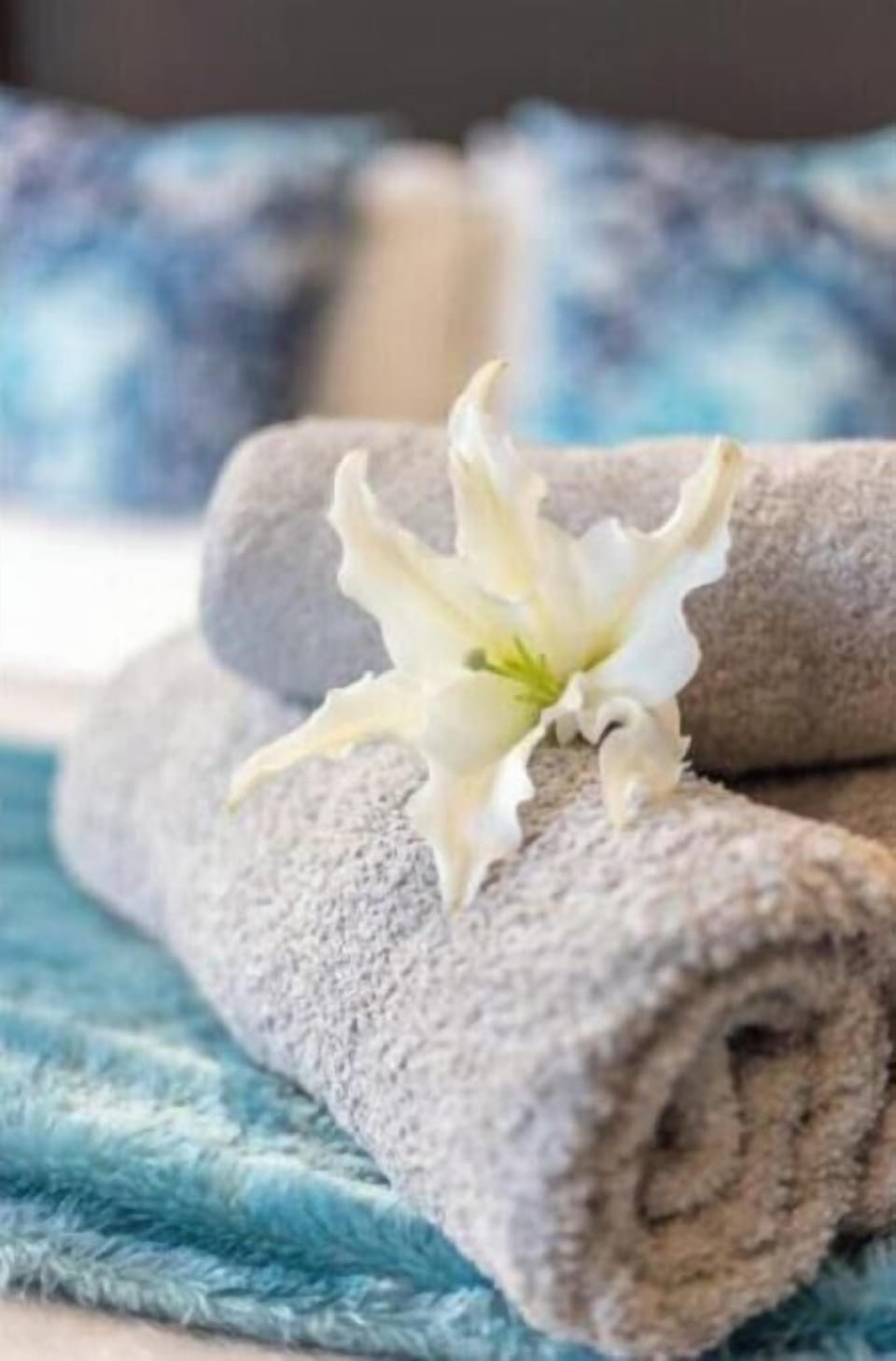 Petunia is a 1-bedroom unit with an ensuite bathroom and open open-plan kitchen.