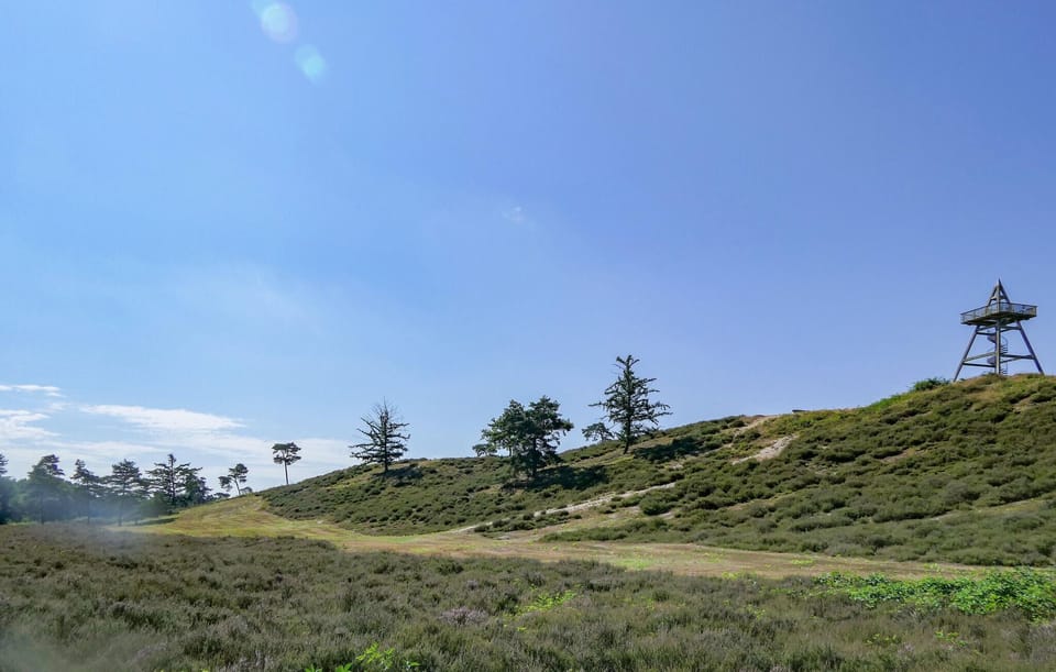 area