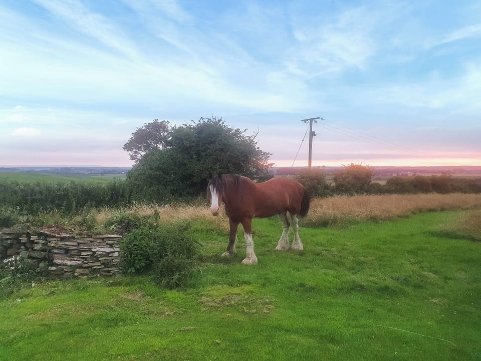 Surrounding area | Sunset Cabin, Ormskirk