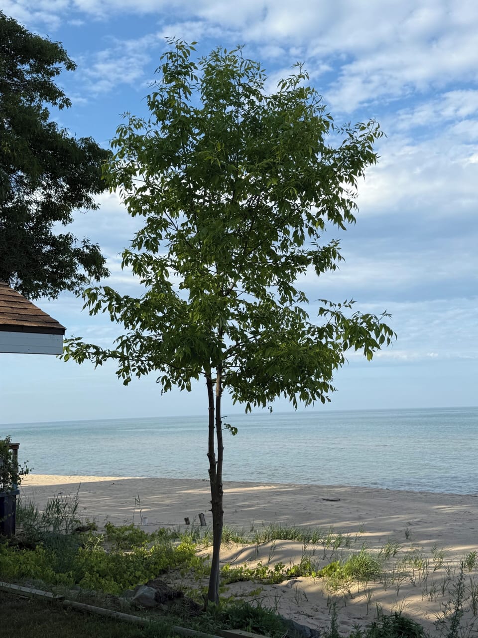 Image picker 7A646B13 F2C3 43A3 BB03 3941B71477AF 58604 000009F05AD75BDD