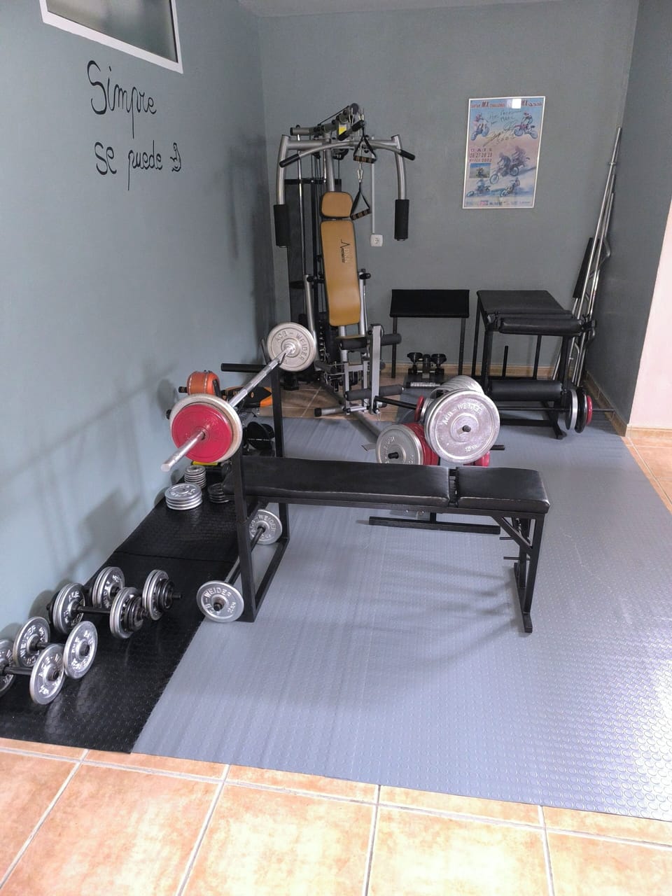 Sport area, bodybuilding.