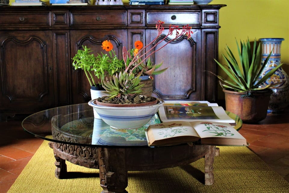 Autumn, Living Room, Spring, Summer