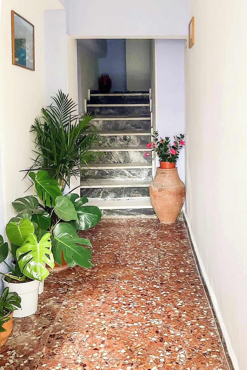 Entrance of the Property – Welcoming Access with Steps and Plants