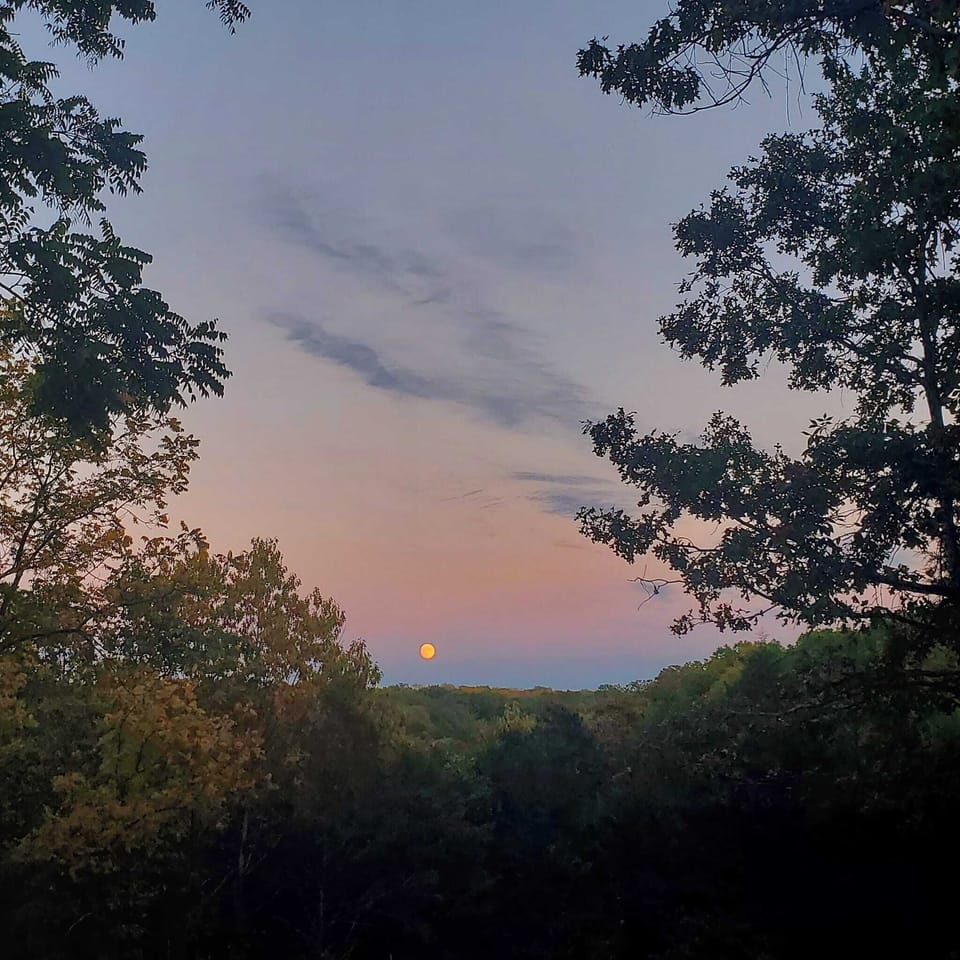 Ozark Mountain Views