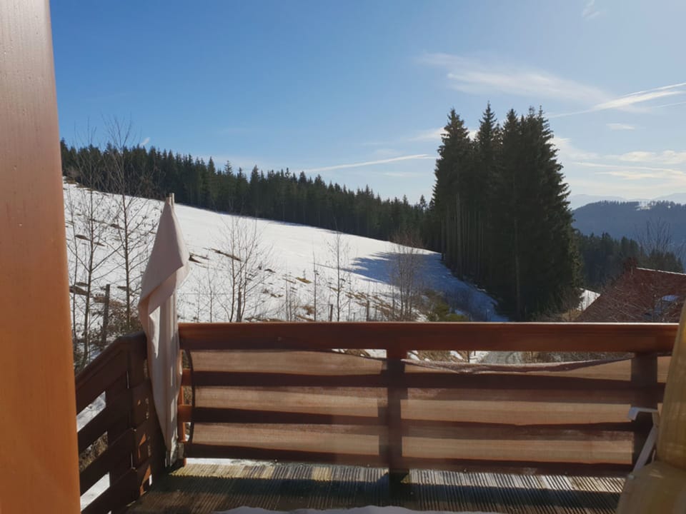 View from Holiday Home [winter]