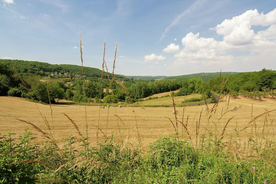 Surroundings [summer] (1-5 km)