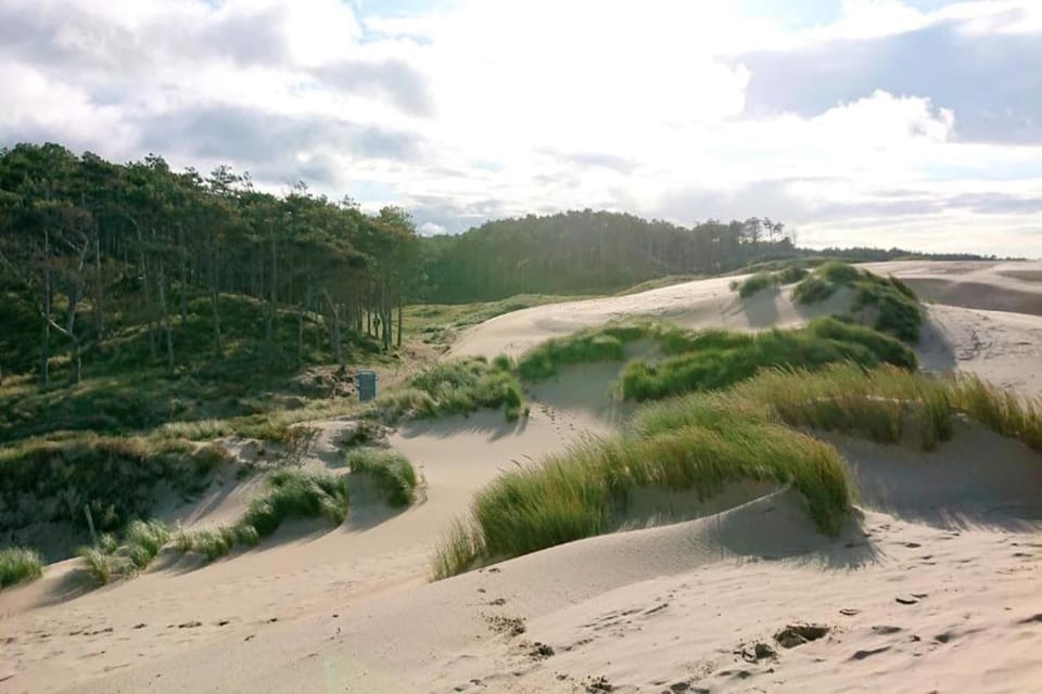Surroundings [summer] (1-5 km)