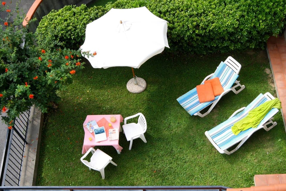 Garden [summer]
