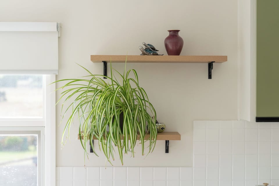 Minimalist Decor with a Warm, Organic Vibe