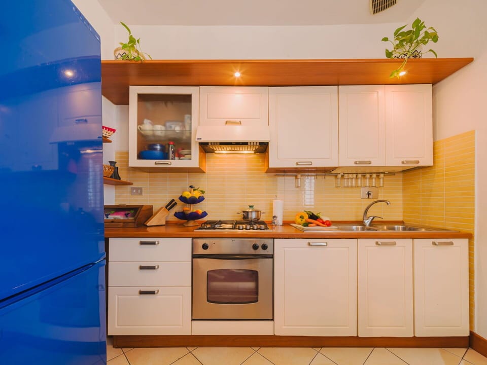 Blue, Chair, Outdoor Furniture, Design, Shade, Outdoor Table, Eco Hotel, Patio, Houseplant, Daylighting