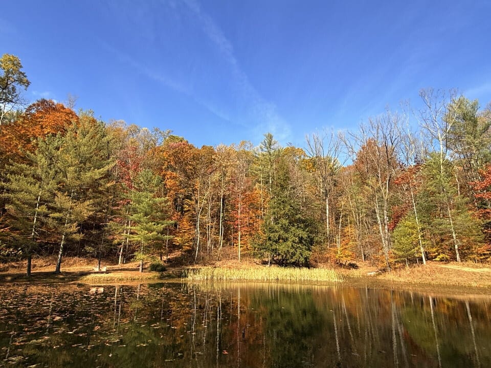 Stocked fishing pond