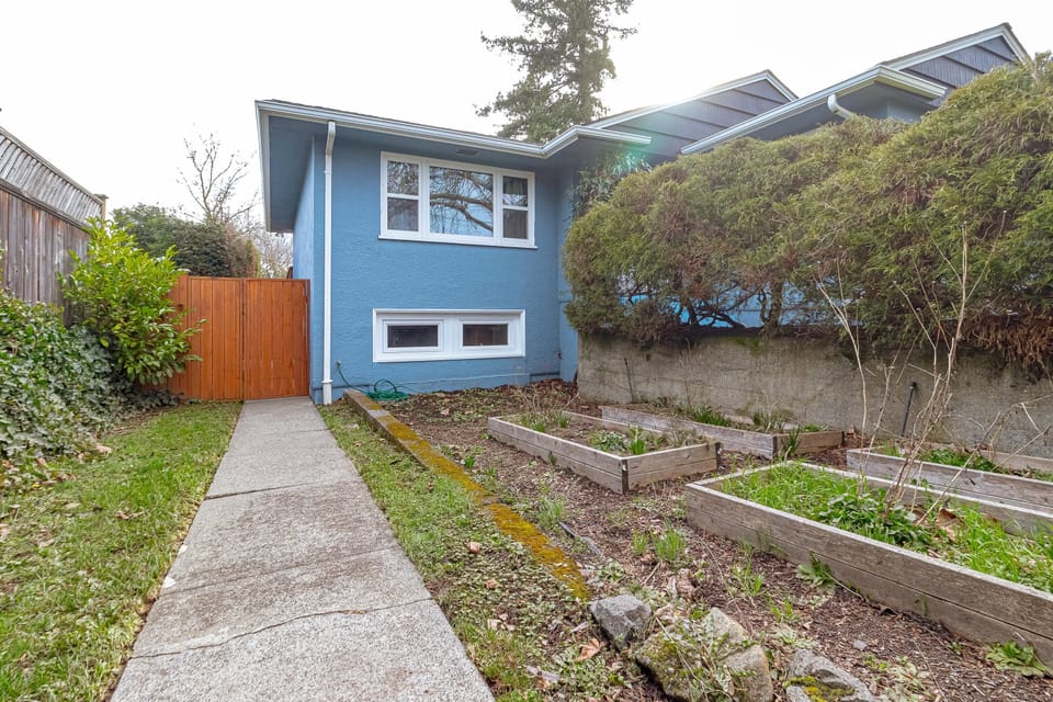 Concrete pathway leads past raised wooden garden beds beside the blue stucco exterior and a tall wooden gate.