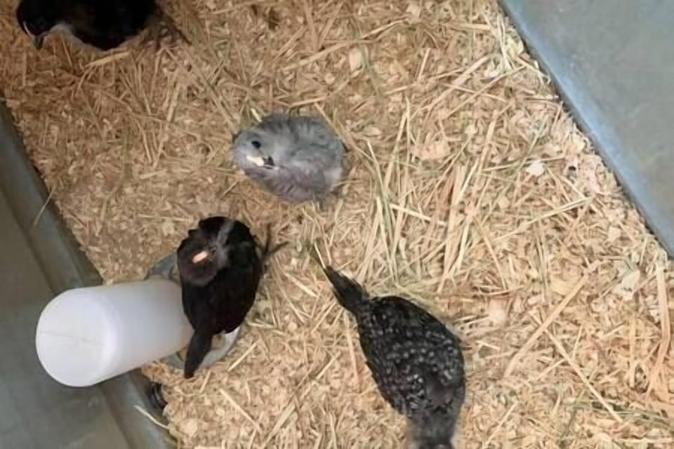 B8aa24ae 02fa 4a43 8c28 a56911b95c99