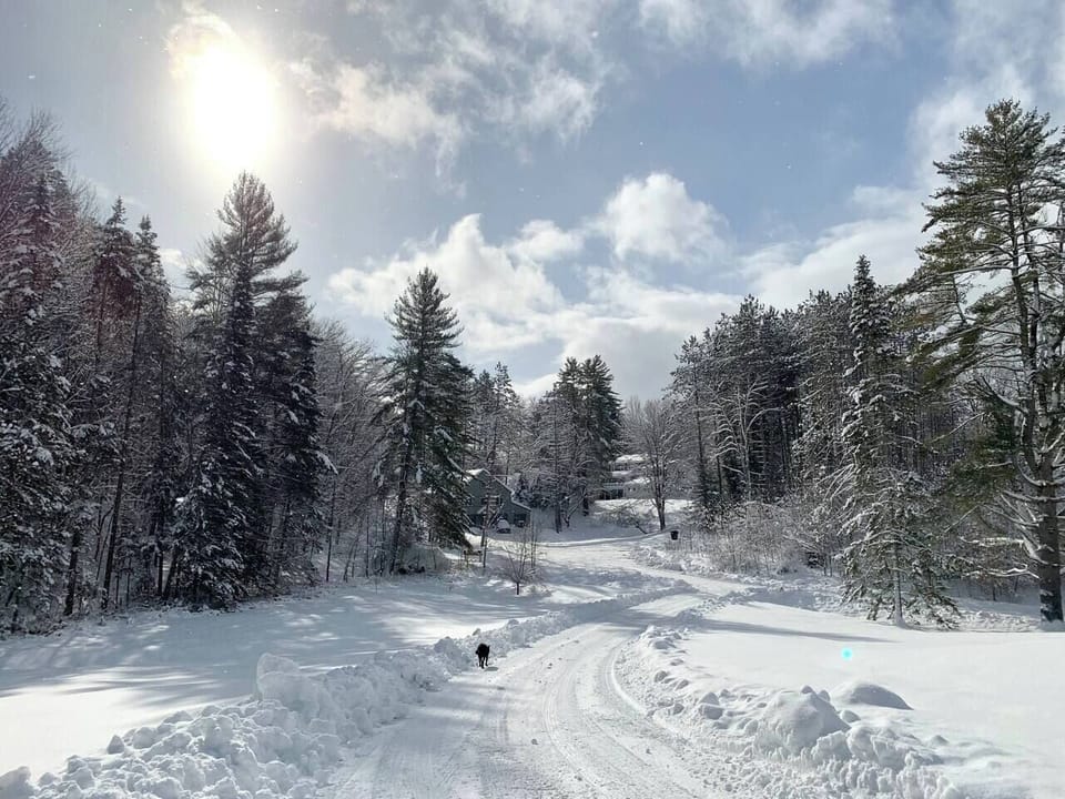 Nestled into the snowy landscape. 
