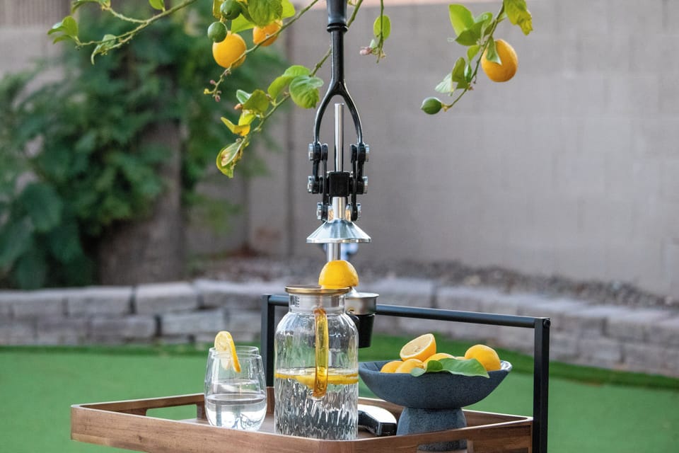 Seasonal lemon tree with a commercial size lemon press for lemonaid