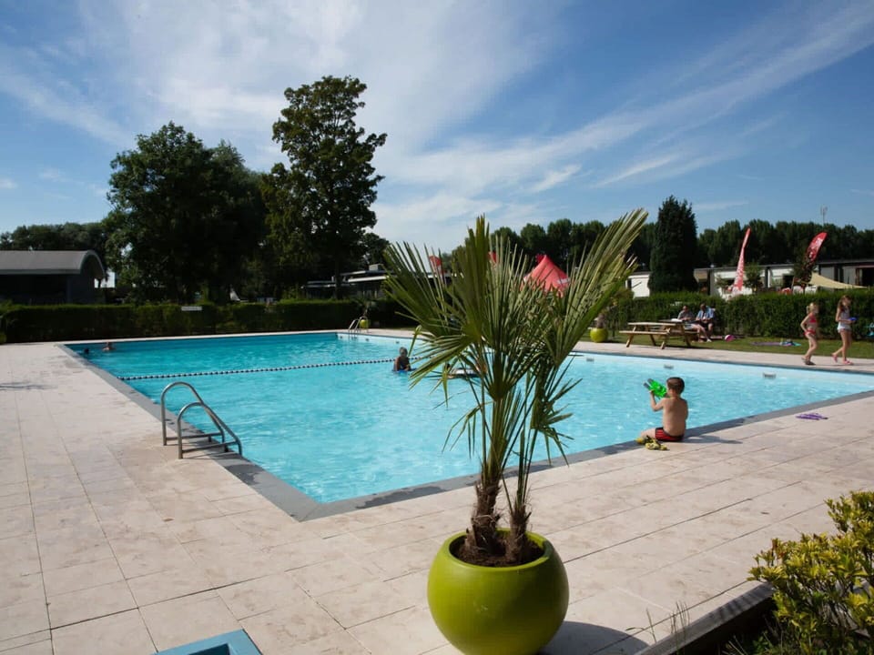 Swimming Pool, Residential Area, Condominium, Apartment, Resort, Estate, Shade, Villa, Hacienda, Mansion