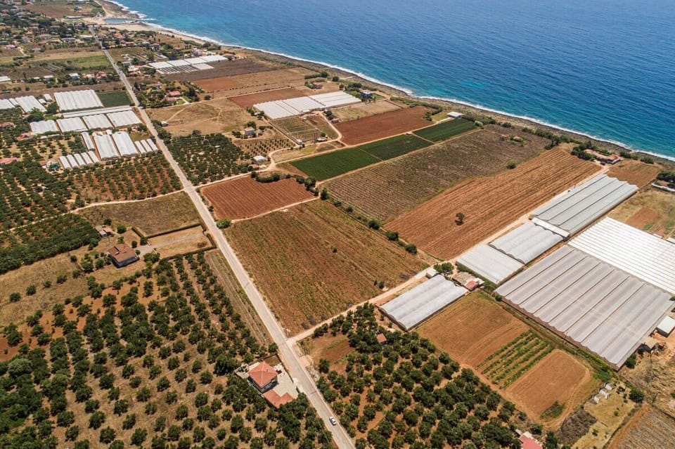 Beach Near the Accommodation – Easy access to the coastline for swimming or walks.