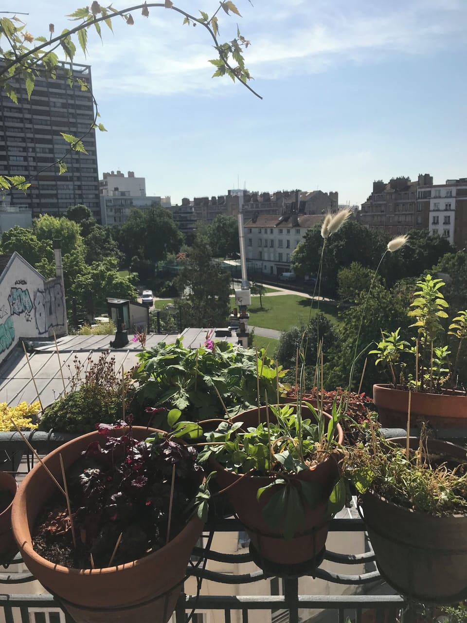 View from property