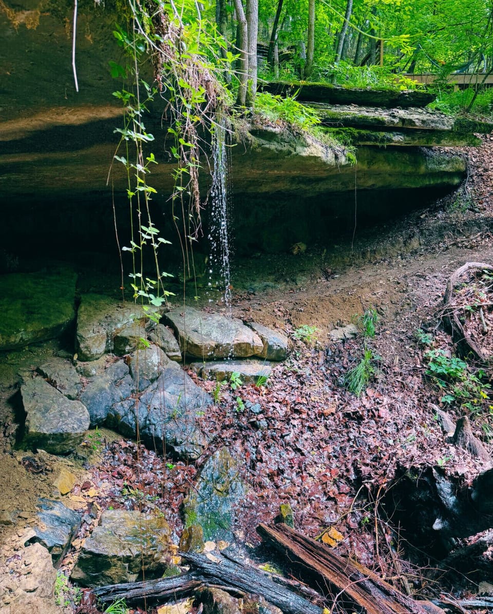 Private hiking trail onsite with springfed waterfalls.