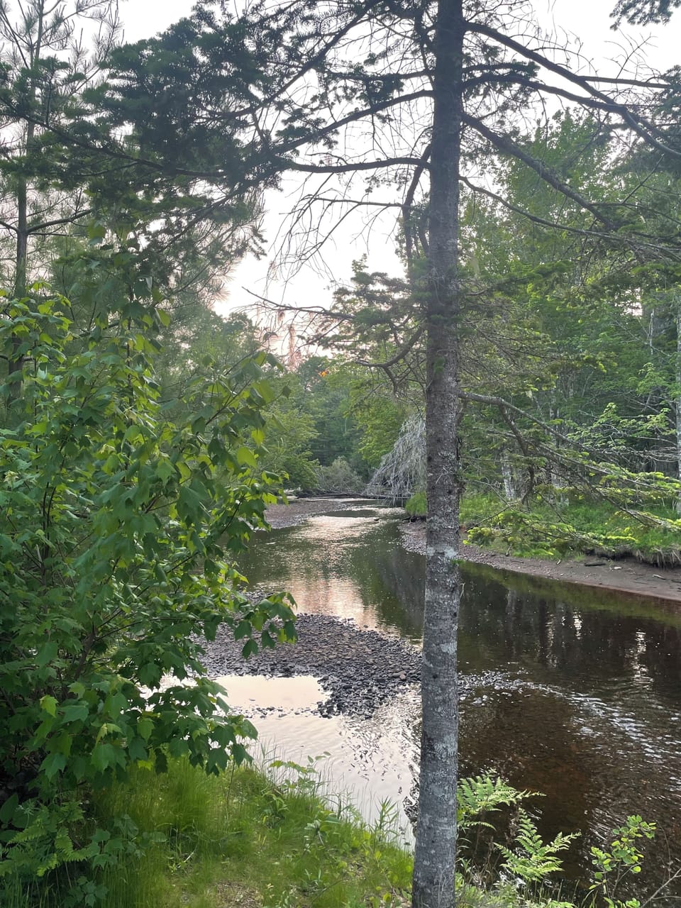 River at low tide