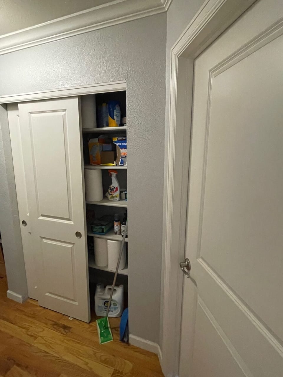 Pantry with cleaning supplies