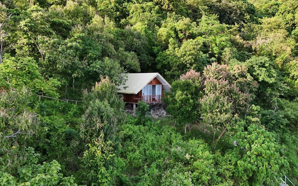 Exterior of the cabin