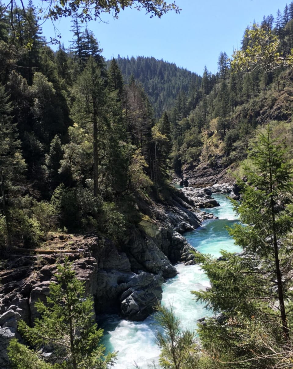 Smith River a few minutes walk  down to the river from guest unit.