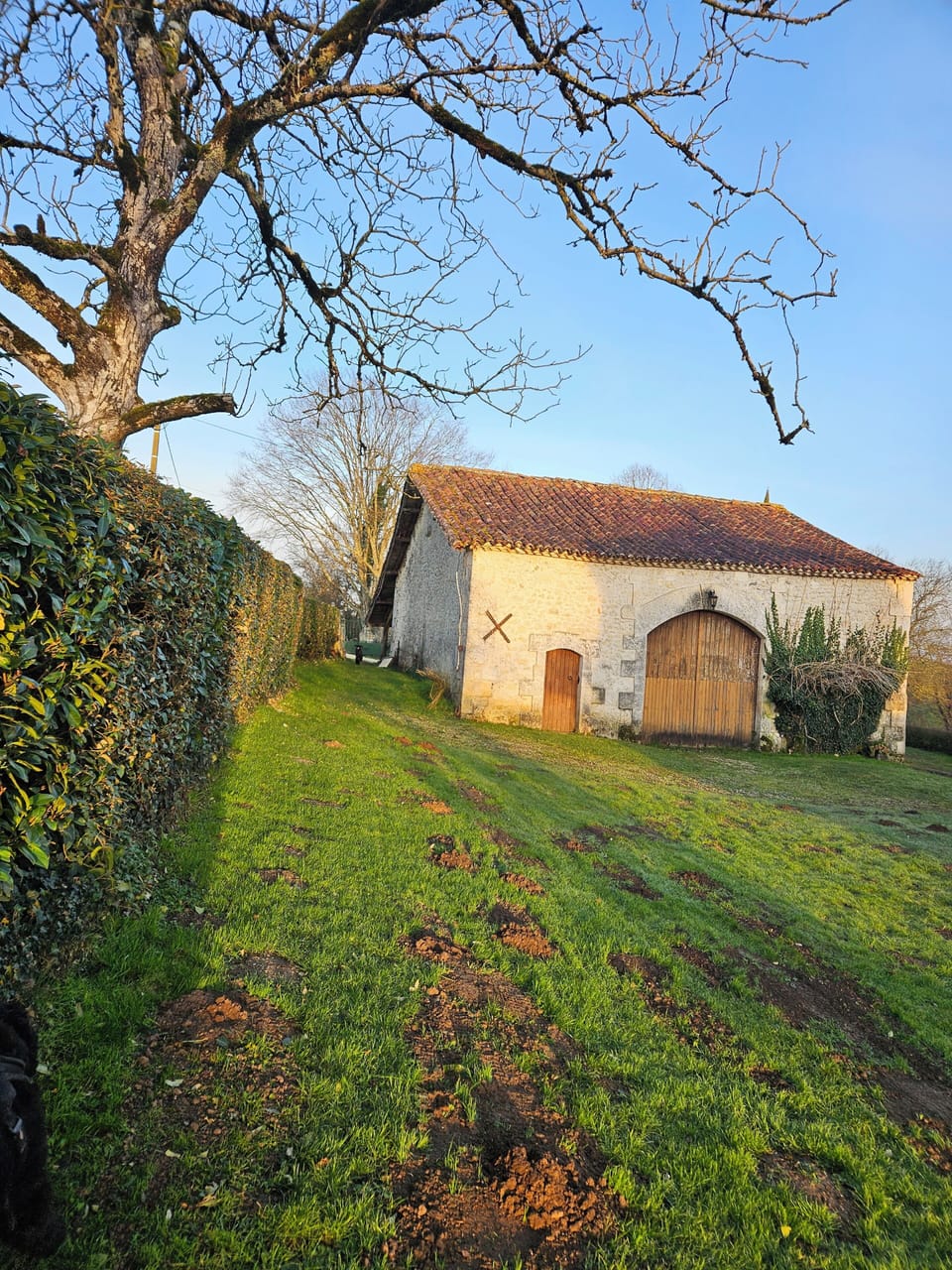Exterior