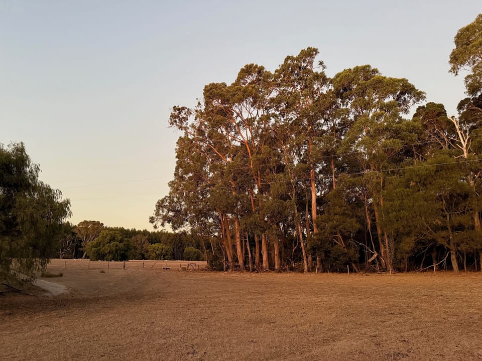 Around the property