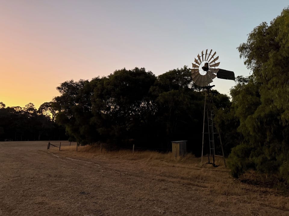 Around the property