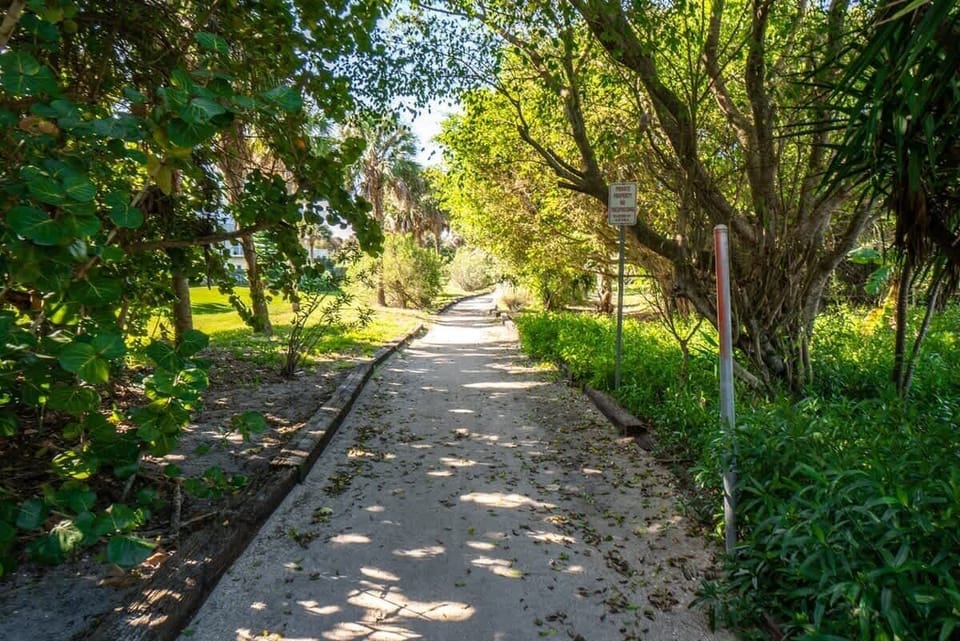 Trail to the Beach