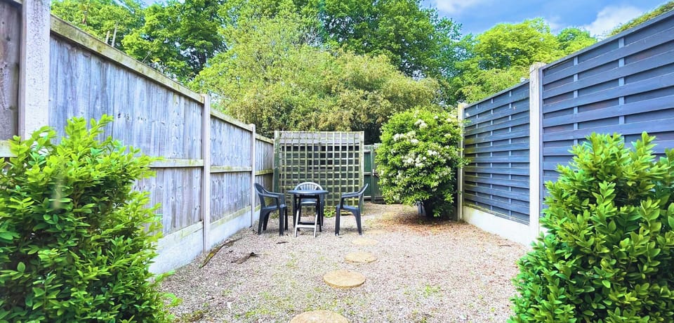 Backyard Darden with furniture